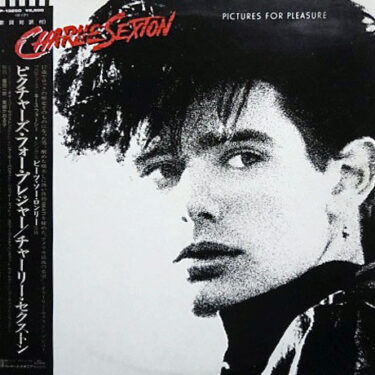 Charlie Sexton - Pictures for Pleasure